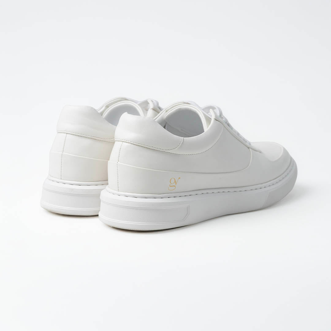 Casse v2 (2.4'')